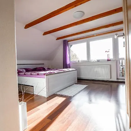 Chata73- Leden, Mame Skvele Podminky Pro Lyzovani! * Novy Hradek