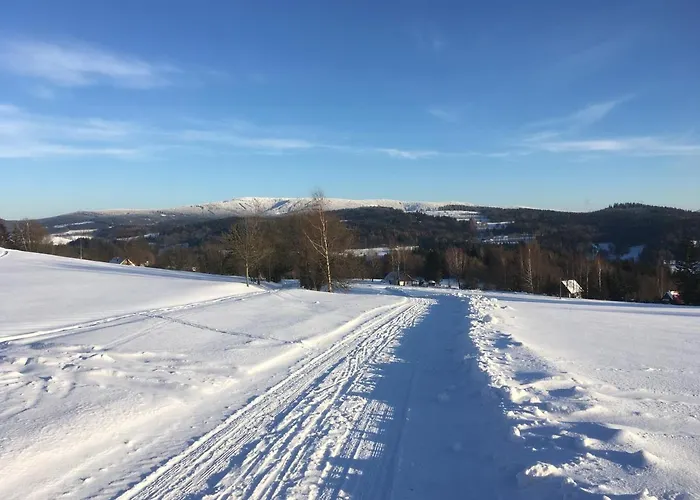 Chata73- Leden, Mame Skvele Podminky Pro Lyzovani! Apartment